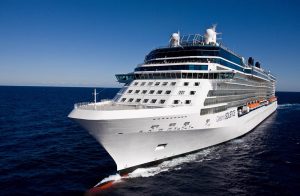 Cruise